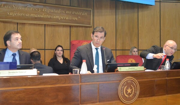 La oposición no logró el quorum para que el Senado revea la destitución de Kattya González - La Tribuna