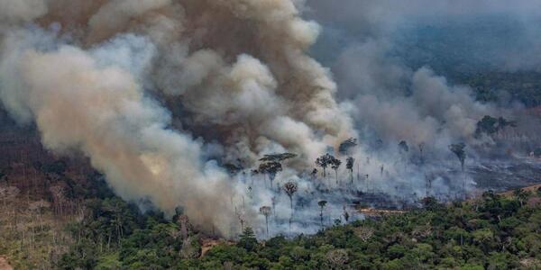 Registran récord de incendios forestales en la Amazonía brasileña - Unicanal
