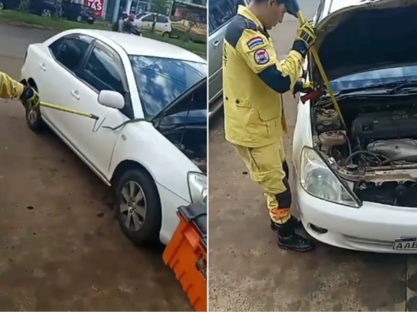 Bomberos rescatan a una víbora que se metió a un motor ajeno