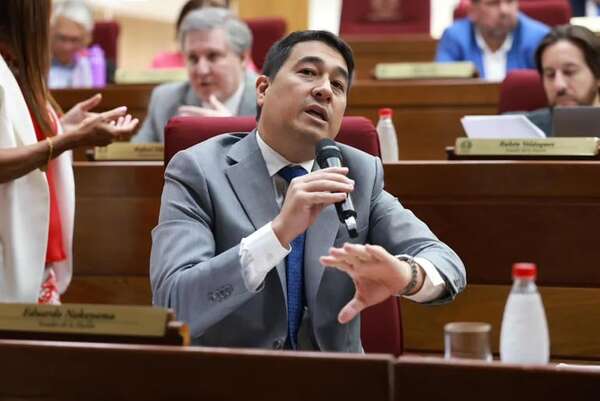 AUDIO: Caso Kattya González: “Me pareció una decisión responsable desconvocar la sesión”, afirma Nakyama - Ancho Perfil - ABC Color