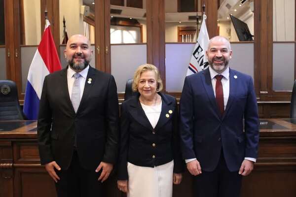 Pucheta asume la presidencia del JEM y promete que no habrá injerencia - Nacionales - ABC Color