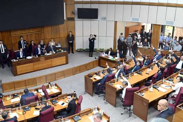 Referentes del Frente Democrático creen que mayoría opositora en el Senado está en camino - Política - ABC Color