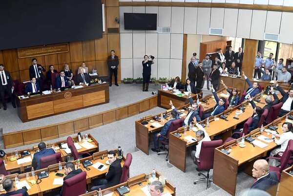 Referentes del Frente Democrático creen que mayoría opositora en el Senado está en camino  - Política - ABC Color