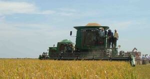 La Nación / UGP: comportamiento climático creó distintos escenarios para la producción agrícola