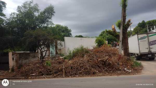  “Basura y Abandono a Tres Cuadras del Edificio Municipal de San Lorenzo” » San Lorenzo PY