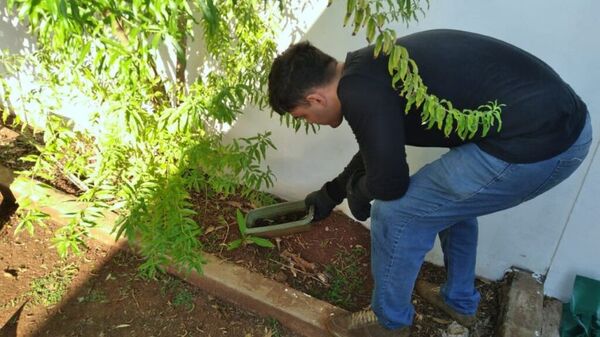Tras las lluvias instan a verificar recipientes con agua - La Tribuna
