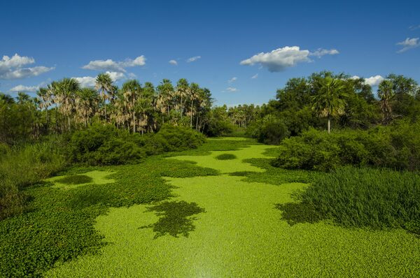 Destinos turísticos en Paraguay: una riqueza cultural por descubrir en este extenso fin de semana - .::Agencia IP::.