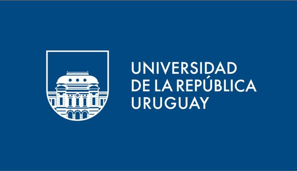 Uruguay: Expulsaron a un alumno de una universidad pública por criticar al feminismo