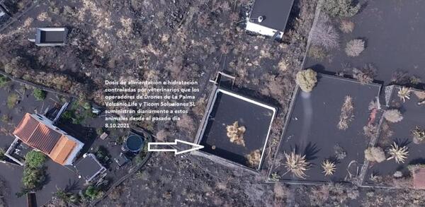 Una empresa española de drones prepara un rescate “inédito en el mundo” para los perros atrapados por la erupción del vol