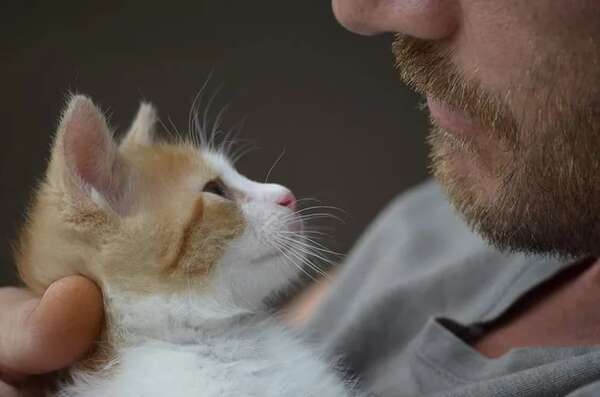 ¿Qué hacer cuando un paciente inmunodeprimido quiere tener una mascota? - Mascotas - ABC Color