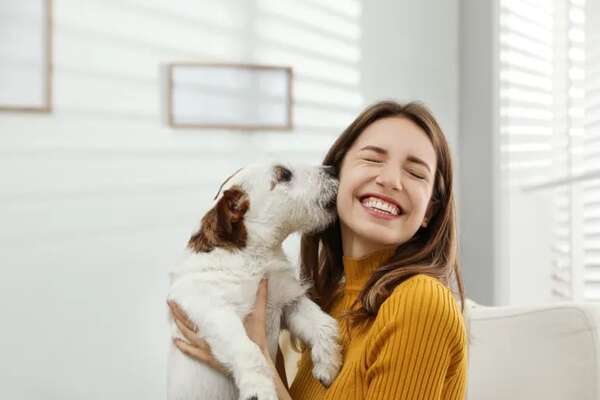 Cómo elegir el perro de compañía ideal para tu estilo de vida - Mascotas - ABC Color