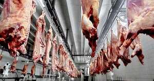 La Nación / Envíos de carne bovina vuelven a repuntar en febrero de 2024