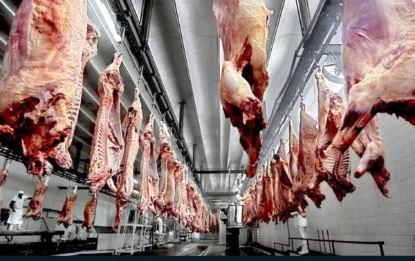 Envíos de carne bovina vuelven a repuntar en febrero de 2024