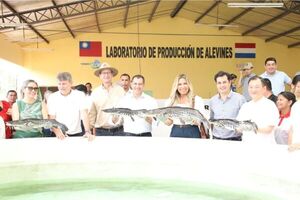 Producción acuícola del Paraguay en aumento