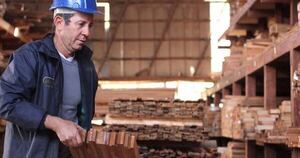 La Nación / Recuerdan que trazabilidad hará al sector maderero más sustentable