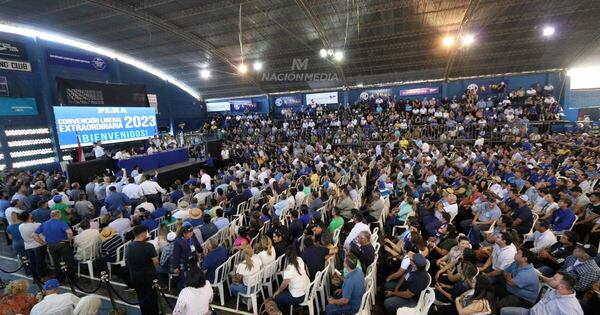 La Nación / Convencionales liberales definen el destino de cuatro senadores