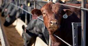 La Nación / “Debemos estar preparados para vender carne a cualquier mercado”