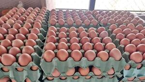 Huevos: ¿Porqué aumenta el precio, cuánto se produce y cuánto se consume en Paraguay? - La Tribuna