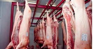 La Nación / Exportaciones del sector porcino se duplicaron en el primer bimestre del año