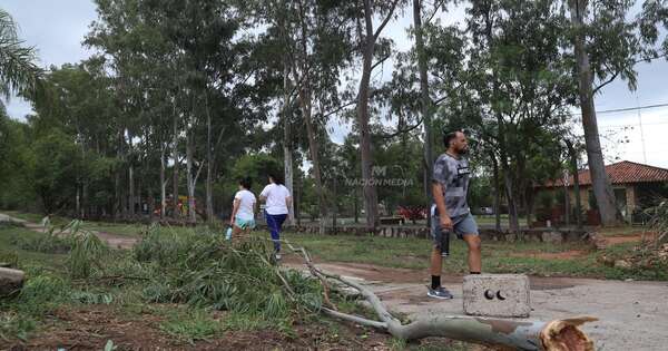 La Nación / Cierran parque Ñu Guasu tras destrozos causados por la tormenta - OJO Galería