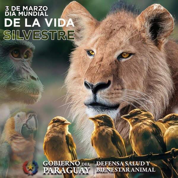 Día Mundial de la Vida Silvestre - .::Agencia IP::.
