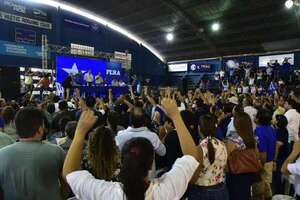 Fleitas aguarda que el TSJE “no se inmiscuya” tras expulsiones de cuatro senadores liberocartistas - Política - ABC Color
