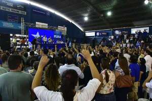 Fleitas aguarda que el TSJE “no se inmiscuya” tras expulsiones de cuatro senadores liberocartistas  - Política - ABC Color