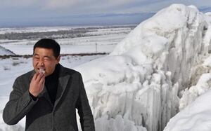 Glaciares artificiales para salvar rebaños de ovejas - Tecnología - ABC Color