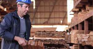 La Nación / Trazabilidad hará al sector maderero más sustentable