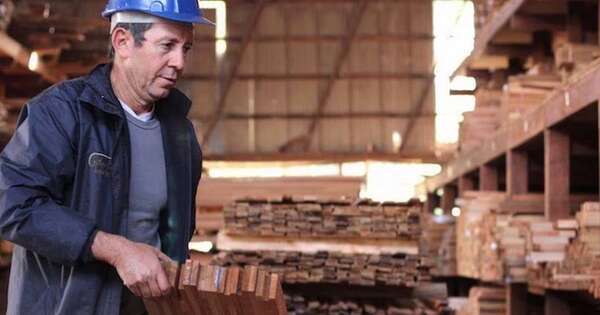 La Nación / Trazabilidad hará al sector maderero más sustentable