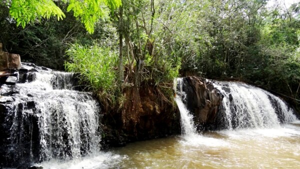 Alto Paraná y Canindeyú albergan un corredor verde de gran riqueza