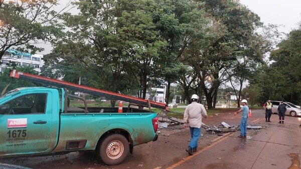 Temporal tumba árboles y causa destrozos en Alto Paraná - Radio Imperio 106.7 FM