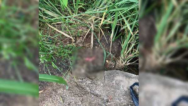 Conmoción: encontraron un feto en el barrio San Isidro de Encarnación
