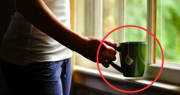 La Nación / Esta es la manera de eliminar la grasa abdominal tomando té