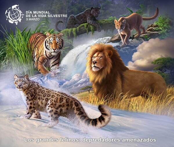 3 de marzo: Día Mundial de la Vida Silvestre