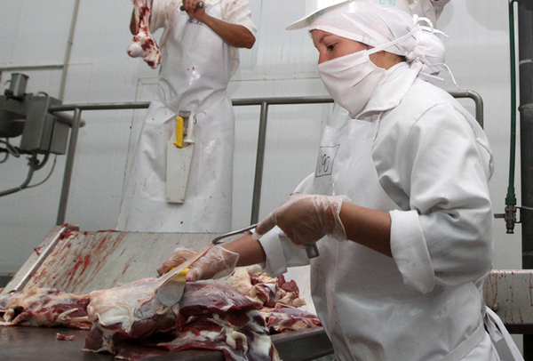 EXPORTACIONES DEL SECTOR PORCINO SE DUPLICARON EN EL PRIMER BIMESTRE DEL AÑO - Itapúa Noticias