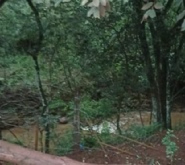 Hernandarias: Asesinan a ex convicto y arrojan su cuerpo en un arroyo - Paraguay.com