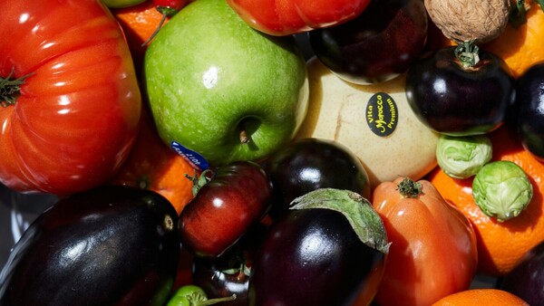 Concientizar sobre prácticas saludables para prevenir la obesidad