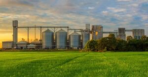 Industrialización de la soja alcanzó las 110.556 toneladas, siete veces más que en enero del año anterior - MarketData
