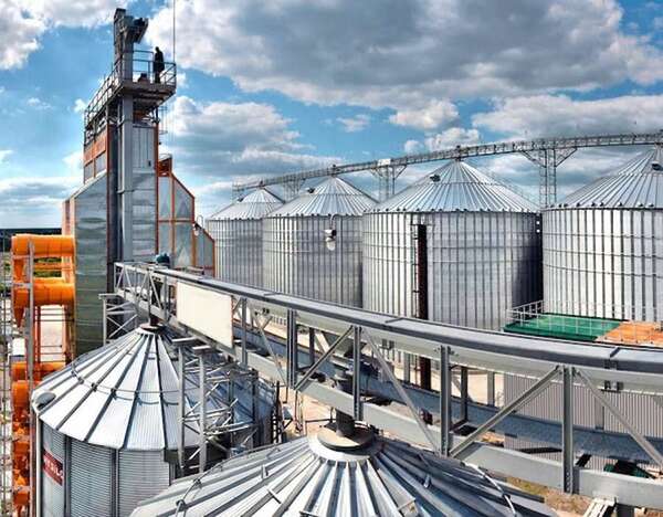 Imparable crecimiento en la industrialización de granos al cierre de enero