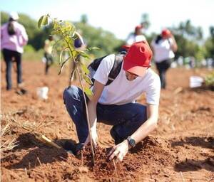 Campaña Paraguay planta: Buscan voluntarios que quieran reforestar su comunidad
