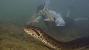 Investigadores descubren a la serpiente más grande del mundo