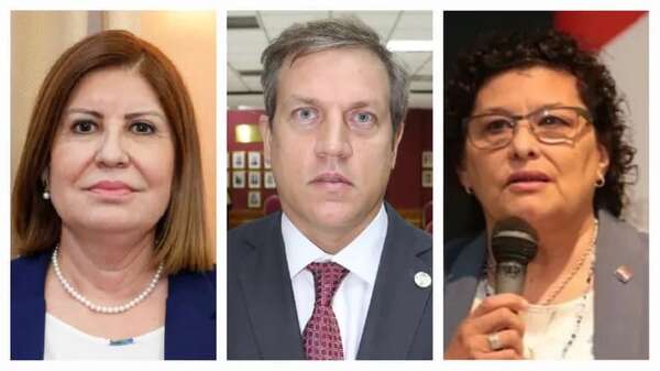 Tribunal del TSJE se caracteriza por salvar a “libero cartistas” y castigar a críticos de HC - Política - ABC Color