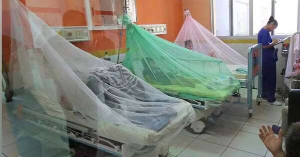 La Nación / Cinco de cada diez familias fueron afectadas por el dengue este año