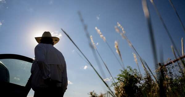 La Nación / Pronostican calor inusual hasta mayo debido a El Niño