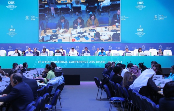 Paraguay pidió a la OMC abstenerse de imponer medidas ambientales con impacto al comercio - La Tribuna