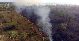 La Nación / Paraguay: unas 50.000 hectáreas fueron afectadas este año por incendios