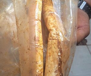 Hallan dinamita en gel en salón contiguo al local donde inició túnel para robo a cambistas – Diario TNPRESS