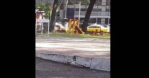 [VIDEO] "Ahora creo en los fantasmas": Misterio por la hamaca que se mueve sola en una plaza de Asunción