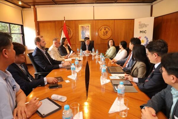 Firmas coreanas desean invertir en insumos hospitalarios y dispositivos médicos en Paraguay - El Trueno
